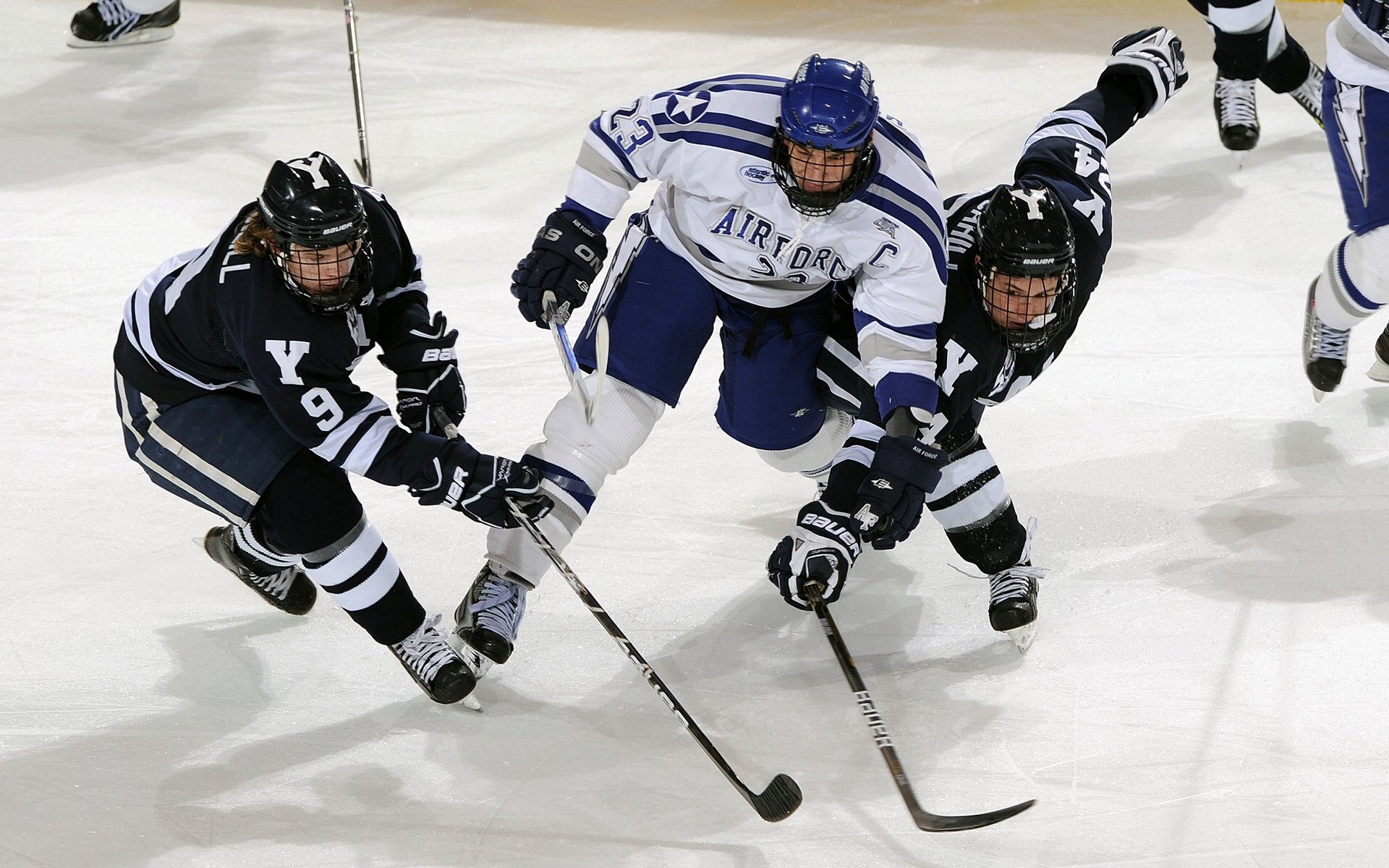 仰泳冲刺荷兰女将保持领先，仰泳视频教练讲解