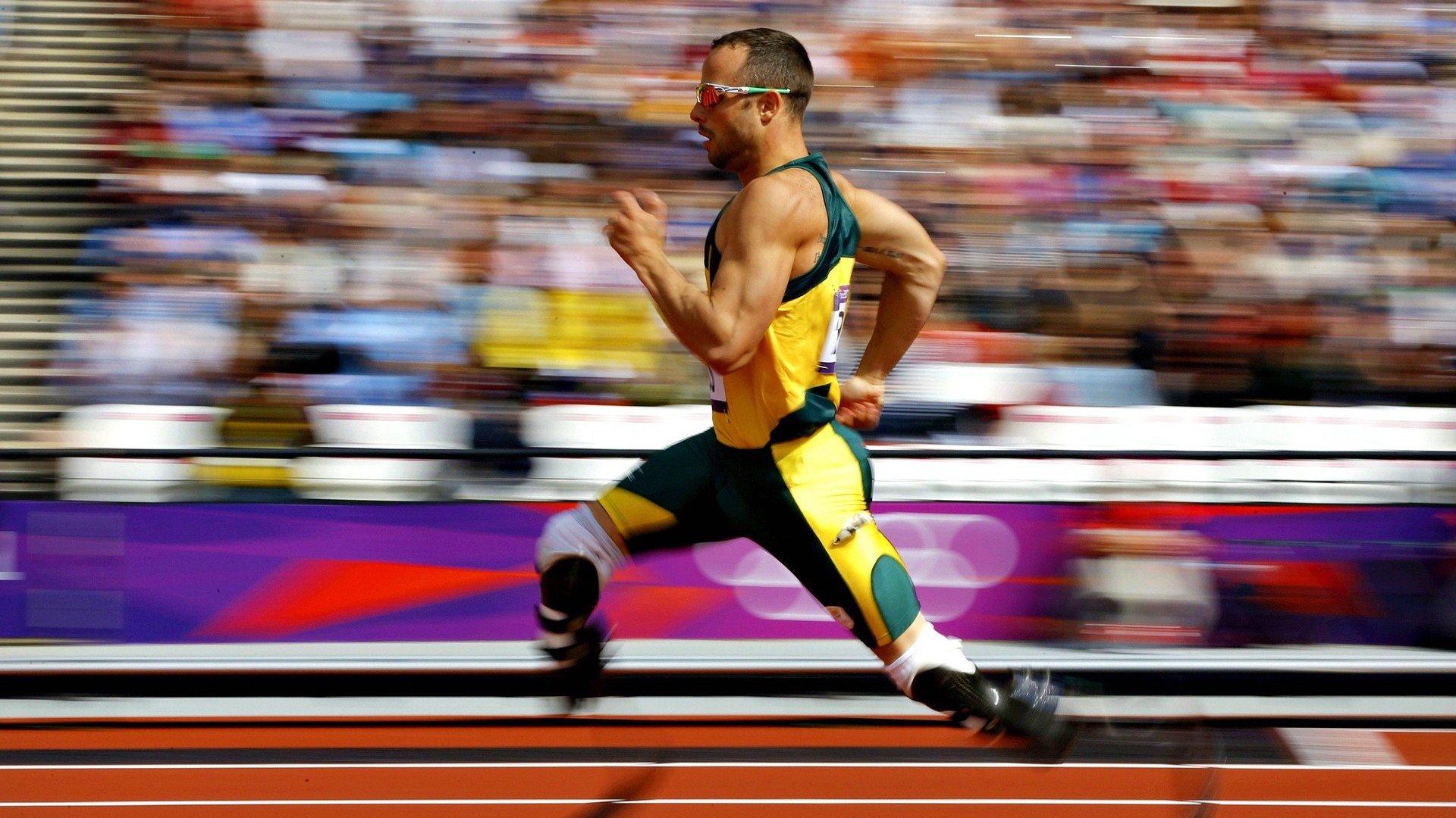 燃冰成炬，同心传递——十五运会圣火点亮大湾区多元融合的未来